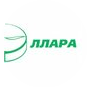 Эллара