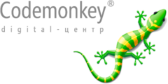 Codemonkey com. CODEMONKEY (software).