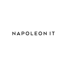 Логотип Napoleon It