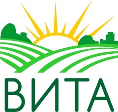 витта фирма. компания вили. компания вили. компания вил. корпорация вит сотрудники.